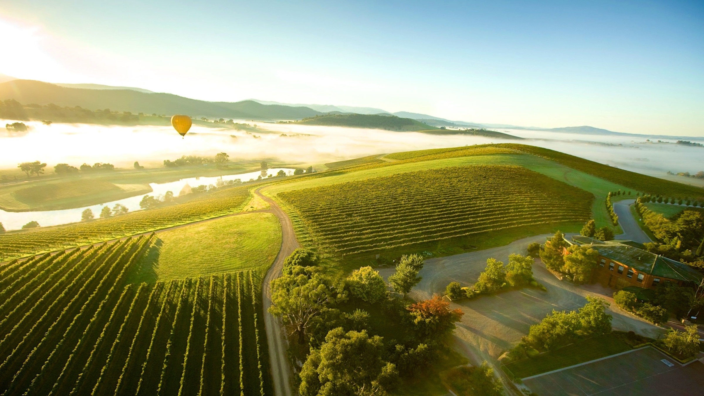 Morning mist and vineyards in the Yarra Valley